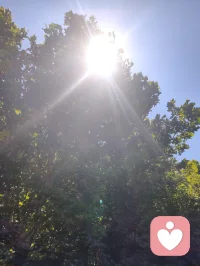 《宇凡红尘悟道寄弘一师兄》
 
长亭歌起泪沾裳，千古离愁入客肠。
昔日痴缠情爱网，几番取舍遍身伤。
心痕千孔皆尘劫，世路千帆尽渺茫。
羡昔叔同辞富贵，身披素衲守律章。
家财名利浮云散，清苦持躬志不降。
百年隔世神相接，一路风霜意相将。
原来尘世诸般爱，尽是迷津陷俗缰。
斩断凡缘离欲念，唯留慈悲照八荒。
同归大道无先后，遥向师门叩法堂。配图