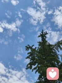 《宇凡红尘悟道寄弘一师兄》
 
长亭歌起泪沾裳，千古离愁入客肠。
昔日痴缠情爱网，几番取舍遍身伤。
心痕千孔皆尘劫，世路千帆尽渺茫。
羡昔叔同辞富贵，身披素衲守律章。
家财名利浮云散，清苦持躬志不降。
百年隔世神相接，一路风霜意相将。
原来尘世诸般爱，尽是迷津陷俗缰。
斩断凡缘离欲念，唯留慈悲照八荒。
同归大道无先后，遥向师门叩法堂。配图