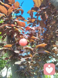 《宇凡红尘悟道寄弘一师兄》
 
长亭歌起泪沾裳，千古离愁入客肠。
昔日痴缠情爱网，几番取舍遍身伤。
心痕千孔皆尘劫，世路千帆尽渺茫。
羡昔叔同辞富贵，身披素衲守律章。
家财名利浮云散，清苦持躬志不降。
百年隔世神相接，一路风霜意相将。
原来尘世诸般爱，尽是迷津陷俗缰。
斩断凡缘离欲念，唯留慈悲照八荒。
同归大道无先后，遥向师门叩法堂。配图