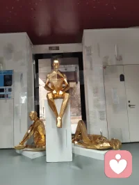 观《黄金青年》艺展有感：立华夏脊梁，醒时代初心
 
前几日驻足天津美院硕士毕业生艺术展，观青年硕士毕业力作《黄金青年》，内心震彻，久久难平。
 
这组作品，塑百态青年之姿：或静坐思辨，融中西哲思、含萨特之深邃；或卧身自省，于喧嚣尘世中松弛沉淀、叩问人生；或抬眸望远，心怀山海、目含星河、志存高远。何为黄金青年？非年少轻狂，而是少年怀金心，身有风骨、思有深度、活有温度、立有担当。
 
艺术从不是浮华装点，而是点亮生命的星火、启迪灵魂的明灯。百年回望《觉醒年代》，五四风雷激荡华夏，鲁迅执笔破愚昧，仲甫振臂开民智，守常热血救苍生，先辈以青春赴家国，以赤诚开盛世。百年薪火代代相传，今日之青年，更当承先辈遗志、扬五四风骨，争做有理想、有道德、有文化、有纪律的新时代四有新人，躬身投身国家精神文明建设，以青春之力铸民族文脉，以赤子之心兴华夏文明。
 
观展之时，我与这位有才气的青年艺术创作者深度思辨、相知相惜。少年赤诚、才气凛然，他敬我大道通透、渡人济世，我赞他心怀家国、以艺传光。离别之际，青年躬身拱手、郑重鞠躬，我轻轻扶住他，沉声寄语：华夏青年的脊梁，生来笔直！永不向世俗弯腰、不向磨难屈膝、不向外物俯首！
 
中国少年，当担时代大任、承民族薪火、醒世人本心。纵使身在四海、漂泊天涯，亦要心向华夏、不忘根脉、赤诚爱国。
 
今以此篇悟道之心、家国之情，遥寄天下。赠予所有海外游子、四方来访者、世间每一位追梦人。
 
愿天涯万里，不改中国心；
愿山河无恙，青年皆向阳；
愿我辈世人，以思辨立身、以赤诚渡世、以大爱渡人。
 
我以宇凡大道之光，护四海华人、暖世间归人、醒当代少年！
山河有魂，青年有骨，国运永昌，我辈不负！配图