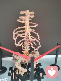 观《黄金青年》艺展有感：立华夏脊梁，醒时代初心
 
前几日驻足天津美院硕士毕业生艺术展，观青年硕士毕业力作《黄金青年》，内心震彻，久久难平。
 
这组作品，塑百态青年之姿：或静坐思辨，融中西哲思、含萨特之深邃；或卧身自省，于喧嚣尘世中松弛沉淀、叩问人生；或抬眸望远，心怀山海、目含星河、志存高远。何为黄金青年？非年少轻狂，而是少年怀金心，身有风骨、思有深度、活有温度、立有担当。
 
艺术从不是浮华装点，而是点亮生命的星火、启迪灵魂的明灯。百年回望《觉醒年代》，五四风雷激荡华夏，鲁迅执笔破愚昧，仲甫振臂开民智，守常热血救苍生，先辈以青春赴家国，以赤诚开盛世。百年薪火代代相传，今日之青年，更当承先辈遗志、扬五四风骨，争做有理想、有道德、有文化、有纪律的新时代四有新人，躬身投身国家精神文明建设，以青春之力铸民族文脉，以赤子之心兴华夏文明。
 
观展之时，我与这位有才气的青年艺术创作者深度思辨、相知相惜。少年赤诚、才气凛然，他敬我大道通透、渡人济世，我赞他心怀家国、以艺传光。离别之际，青年躬身拱手、郑重鞠躬，我轻轻扶住他，沉声寄语：华夏青年的脊梁，生来笔直！永不向世俗弯腰、不向磨难屈膝、不向外物俯首！
 
中国少年，当担时代大任、承民族薪火、醒世人本心。纵使身在四海、漂泊天涯，亦要心向华夏、不忘根脉、赤诚爱国。
 
今以此篇悟道之心、家国之情，遥寄天下。赠予所有海外游子、四方来访者、世间每一位追梦人。
 
愿天涯万里，不改中国心；
愿山河无恙，青年皆向阳；
愿我辈世人，以思辨立身、以赤诚渡世、以大爱渡人。
 
我以宇凡大道之光，护四海华人、暖世间归人、醒当代少年！
山河有魂，青年有骨，国运永昌，我辈不负！配图