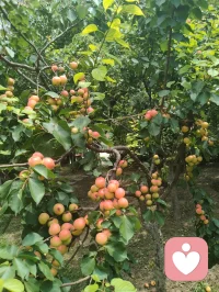 人间烟火最抚凡人心！所有美好，如期而至。
吃的好心情就好，粗茶淡饭，简简单单，又是一餐。配图