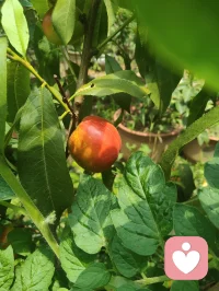 人间烟火最抚凡人心！所有美好，如期而至。
吃的好心情就好，粗茶淡饭，简简单单，又是一餐。配图