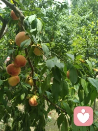 人间烟火最抚凡人心！所有美好，如期而至。
吃的好心情就好，粗茶淡饭，简简单单，又是一餐。配图