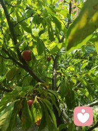 人间烟火最抚凡人心！所有美好，如期而至。
吃的好心情就好，粗茶淡饭，简简单单，又是一餐。配图