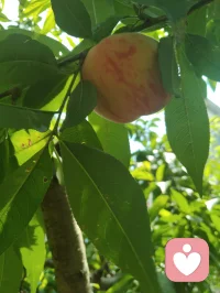 人间烟火最抚凡人心！所有美好，如期而至。
吃的好心情就好，粗茶淡饭，简简单单，又是一餐。配图