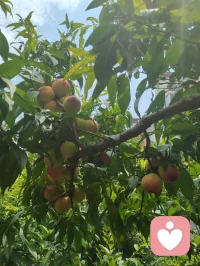 人间烟火最抚凡人心！所有美好，如期而至。
吃的好心情就好，粗茶淡饭，简简单单，又是一餐。配图