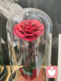 宇凡·津门论道咖啡自洽！
 
海河风漫过咖啡馆的窗，
弗洛伊德解潜意识，认知行为调心念，人本主义予温暖；
荣格的阿尼玛与阿尼姆斯，在光影里照见完整的我；
更兼儒释道的中庸与放下，在一杯咖啡里，把“自洽”写进日常。
文人骚客也好，修行者也罢，不过是借东西方的智慧，和自己和解。配图