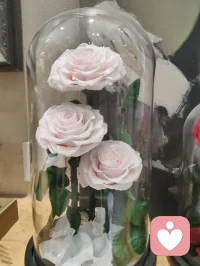 宇凡·津门论道咖啡自洽！
 
海河风漫过咖啡馆的窗，
弗洛伊德解潜意识，认知行为调心念，人本主义予温暖；
荣格的阿尼玛与阿尼姆斯，在光影里照见完整的我；
更兼儒释道的中庸与放下，在一杯咖啡里，把“自洽”写进日常。
文人骚客也好，修行者也罢，不过是借东西方的智慧，和自己和解。配图