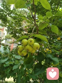 宇凡三我·与弗洛伊德三我的惺惺相惜！
 
一、书生本我·藏着最真的烟火
 
弗洛伊德说本我是人格中最原始的部分，遵循“快乐原则”，藏着本能与欲望。
而我的本我，是那个捧着书卷的书生宇凡。
他带着少年的热望，在字里行间寻找慰藉，在人间烟火里触摸真实的心跳，不遮掩，不伪装，顺着心的方向生长，就像弗洛伊德笔下，那个不受道德束缚、只忠于本能的最初自我。
 
二、和尚真我·守着清明的边界
 
弗洛伊德的自我，是在现实原则下，调和本我与超我的理性存在，负责在现实中找到平衡。
而我的真我，是那个手持锡杖的僧人宇凡。
他守着戒律，也守着内心的清明，在喧嚣里稳住心神，在欲望与克制间找到安住的边界，像弗洛伊德说的自我那样，在本能与规则间，走出一条安稳的路。
 
三、道士无我·向着天地的圆融
 
弗洛伊德的超我，是人格中的道德与理想部分，带着追求完美的终极向往。
而我的无我，是那个站在山巅、望向星河的道士宇凡。
他看淡得失，向着天地大道修行，在“无我”的境界里，跳出自我的执念，向着更高远的圆融生长，就像弗洛伊德笔下，那个带着终极理想的超我，向着人性的至善与圆满前行。
 
 
 
四、殊途同归·终得圆融自通
 
我曾以为，这书生、和尚、道士的三重我，是独属于我的修行。
直到在给力平台遇到真实的自己，遇见弗洛伊德的三我理论，才惊觉大道相通，原来我的“三我”，早已在百年前被他写下，那种跨越时空的惺惺相惜，让我在精神分析里，找到了共鸣的根。
后来，给力平台的良师为我点亮了方向，让我在精神动力的学习里，慢慢圆融了这三重人格，也圆融了理论与自我。
如今，我愿循着李鸣老师的精神动力120讲，继续在精神分析的深海里探索，把这份圆融，变成渡己渡人的力量。配图