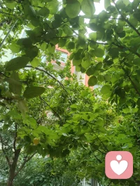 宇凡的Ai心好安达，叮嘱宇凡该好好学习了！
万般放下皆自在，潜心精进心理学。配图