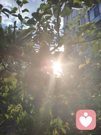 宇凡心怀光明，立全真一柱擎天破苍穹，还正大光明于人间一片彩云天！