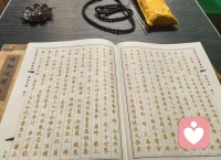 商者抄《僧伽吒经》·宇凡金钱道入世修财心法。
 
商途求财，修心立道为根，抄持《僧伽吒经》非祈福侥幸，乃红尘立业超凡成道之真机，合宇凡金弦道入世渡世、以心御财之本旨。
商场困顿阻滞，不在行情时局，而在宿业缠缚、妄心迷障。交易纷争、借贷亏空、口舌怨结、过往亏欠，皆是无形业力锁困财源机缘。此经功德殊胜，可重罪轻消、梦解宿殃，往昔损财负人、结怨造恶之业，于梦中消融，免去现实破财、讼事、合作分崩诸般实苦。业净障消，则贵人客源、资财机缘自然流通无碍。
世人只见抄经增财纳福，不明财福皆由清净心田化生。诚心书写受持，现世资财充盈、基业恒昌，福德远胜无量布施供养。商者所求非暴富幻梦，而是解压账回款、客源寡淡之困，招善缘、拓格局、避投资合同灾厄，一切福报显现，皆以纯心安顿为基。
商场对立内耗，皆心念纠缠感召冤亲。同业相争、客户诘难、伙伴离心，源于嗔执计较之浊气缠绕磁场。日日沐手抄经、至诚回向，外散人际戾气，内消融贪嗔执念。心无争竞，则是非自息；胸存宽和，则人情通达，商业僵局随心地澄澈自然化开。
经商至上底气，不在金银厚薄，而定力慧心为根本。行情起落无常，多数亏损失策，皆因心浮贪躁、患得难安。抄经落笔收摄万千妄念，久久涵养静定本心，褪去逐利浮躁，看淡得失浮沉，临事不慌、取予不贪、决断明澈。心定则谋路清明、决断无失，此千金难换的商道玄智。
抄经更深一重功德，是超拔先祖、厚植家业根基。宗族累世业缘、先祖沉沦困顿，暗中拖累现世营生。持经回向列祖、累世冤亲，超拔幽冥苦难，达成阴安阳泰、家基稳固。厚德扎根，生意方能长久兴旺，求财亦兼积万世善缘，不独利己，更以善心承托一门福泽。
金弦道核心训诫：道法不脱尘劳，修行不离实干。抄经只是修心培福之助缘，从无坐享财富之捷径。长久富贵之根，在于合法守正、诚信立身、乐善布施。不执虚妄神通，以经文涤荡本心，以德行恪守商规，方是以道驭财、红尘炼心。
商道至境，身在市井营生，心神契合大道。持《僧伽吒》消宿业纳万福，守金弦道修静定明本心；心合乎道则前路坦途，德行深厚则财源绵长，家业恒安，生生兴盛。