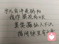 宇凡自诩是暖阳，修行全真终日向阳，半生心怀家国，少年身披戎装戍守山河，青年踏商途拓就业之路，如今执心灯渡人疗愈，以一腔赤诚温暖世间众生。远在悉尼的来访者与我以姐弟相称，同怀赤子爱国之心，皆属同日华夏儿女，共承狼兵风骨，她拍下悉尼歌剧院的光影与我分享，许诺长久守护我，我亦愿化作暖阳，恒久照亮漂泊海外的每一位游子。世人笑我癫狂，我笑世人看不透彻，胸中常怀朝阳暖意，指尖藏济世文字，于倾听里消解万千心结。人海聚散如云烟，相逢不问过往前缘，放下俗世纷扰执念，方能一路清风伴明月。遥寄心意予澳洲漂泊同胞，愿诸位皆做生命的歌者，向阳花开、逐光而生，纵使远隔山海，切莫忘记故土家国，华夏永远是你们安稳归宿，这里有故土温情、至亲牵挂，无论走多远，祖国始终等候游子归乡，愿所有海外同胞心藏暖阳，心怀故土，彼此疗愈，共守人间大爱。