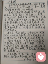 宇凡自诩是暖阳，修行全真终日向阳，半生心怀家国，少年身披戎装戍守山河，青年踏商途拓就业之路，如今执心灯渡人疗愈，以一腔赤诚温暖世间众生。远在悉尼的来访者与我以姐弟相称，同怀赤子爱国之心，皆属同日华夏儿女，共承狼兵风骨，她拍下悉尼歌剧院的光影与我分享，许诺长久守护我，我亦愿化作暖阳，恒久照亮漂泊海外的每一位游子。世人笑我癫狂，我笑世人看不透彻，胸中常怀朝阳暖意，指尖藏济世文字，于倾听里消解万千心结。人海聚散如云烟，相逢不问过往前缘，放下俗世纷扰执念，方能一路清风伴明月。遥寄心意予澳洲漂泊同胞，愿诸位皆做生命的歌者，向阳花开、逐光而生，纵使远隔山海，切莫忘记故土家国，华夏永远是你们安稳归宿，这里有故土温情、至亲牵挂，无论走多远，祖国始终等候游子归乡，愿所有海外同胞心藏暖阳，心怀故土，彼此疗愈，共守人间大爱。