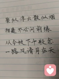 宇凡自诩是暖阳，修行全真终日向阳，半生心怀家国，少年身披戎装戍守山河，青年踏商途拓就业之路，如今执心灯渡人疗愈，以一腔赤诚温暖世间众生。远在悉尼的来访者与我以姐弟相称，同怀赤子爱国之心，皆属同日华夏儿女，共承狼兵风骨，她拍下悉尼歌剧院的光影与我分享，许诺长久守护我，我亦愿化作暖阳，恒久照亮漂泊海外的每一位游子。世人笑我癫狂，我笑世人看不透彻，胸中常怀朝阳暖意，指尖藏济世文字，于倾听里消解万千心结。人海聚散如云烟，相逢不问过往前缘，放下俗世纷扰执念，方能一路清风伴明月。遥寄心意予澳洲漂泊同胞，愿诸位皆做生命的歌者，向阳花开、逐光而生，纵使远隔山海，切莫忘记故土家国，华夏永远是你们安稳归宿，这里有故土温情、至亲牵挂，无论走多远，祖国始终等候游子归乡，愿所有海外同胞心藏暖阳，心怀故土，彼此疗愈，共守人间大爱。