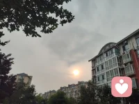 宇凡自诩是暖阳，修行全真终日向阳，半生心怀家国，少年身披戎装戍守山河，青年踏商途拓就业之路，如今执心灯渡人疗愈，以一腔赤诚温暖世间众生。远在悉尼的来访者与我以姐弟相称，同怀赤子爱国之心，皆属同日华夏儿女，共承狼兵风骨，她拍下悉尼歌剧院的光影与我分享，许诺长久守护我，我亦愿化作暖阳，恒久照亮漂泊海外的每一位游子。世人笑我癫狂，我笑世人看不透彻，胸中常怀朝阳暖意，指尖藏济世文字，于倾听里消解万千心结。人海聚散如云烟，相逢不问过往前缘，放下俗世纷扰执念，方能一路清风伴明月。遥寄心意予澳洲漂泊同胞，愿诸位皆做生命的歌者，向阳花开、逐光而生，纵使远隔山海，切莫忘记故土家国，华夏永远是你们安稳归宿，这里有故土温情、至亲牵挂，无论走多远，祖国始终等候游子归乡，愿所有海外同胞心藏暖阳，心怀故土，彼此疗愈，共守人间大爱。