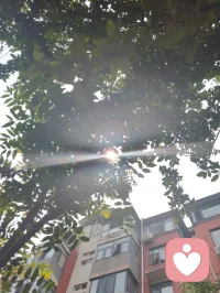 宇凡自诩是暖阳，修行全真终日向阳，半生心怀家国，少年身披戎装戍守山河，青年踏商途拓就业之路，如今执心灯渡人疗愈，以一腔赤诚温暖世间众生。远在悉尼的来访者与我以姐弟相称，同怀赤子爱国之心，皆属同日华夏儿女，共承狼兵风骨，她拍下悉尼歌剧院的光影与我分享，许诺长久守护我，我亦愿化作暖阳，恒久照亮漂泊海外的每一位游子。世人笑我癫狂，我笑世人看不透彻，胸中常怀朝阳暖意，指尖藏济世文字，于倾听里消解万千心结。人海聚散如云烟，相逢不问过往前缘，放下俗世纷扰执念，方能一路清风伴明月。遥寄心意予澳洲漂泊同胞，愿诸位皆做生命的歌者，向阳花开、逐光而生，纵使远隔山海，切莫忘记故土家国，华夏永远是你们安稳归宿，这里有故土温情、至亲牵挂，无论走多远，祖国始终等候游子归乡，愿所有海外同胞心藏暖阳，心怀故土，彼此疗愈，共守人间大爱。