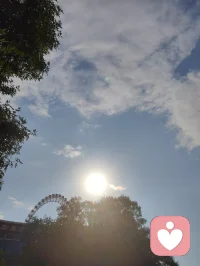 《寄海外游子姐弟同心》
 
少时持甲卫家邦，壮岁经商拓四方。
自许骄阳融世寒，心随葵卉向晴光。
悉尼遥递歌剧院，狼兵同承护道肠。
笑对尘人嘲我痴，胸藏朝日暖肝肠。
浮生聚散如云逝，放下千愁月自长。
海外游子休忘本，故园烟火待君望。
同修大爱疗尘苦，逐光而行万世昌。