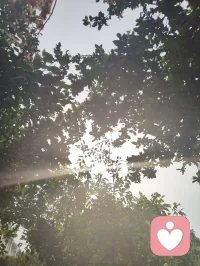 宇凡敬赠给力平台
 
幸入良台沐暖风，包容厚育润心胸。
深耕心学消愁绪，静悟疗愈解困笼。
借得平台三尺地，愿倾赤诚万千重。
初心不改勤精进，誓作良医慰众生。