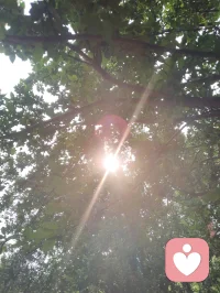 树叶间漏下的晨光，恰似内心藏起的温柔。心理学讲接纳自我，借自然微光和解所有不安与内耗。