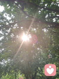 树叶间漏下的晨光，恰似内心藏起的温柔。心理学讲接纳自我，借自然微光和解所有不安与内耗。