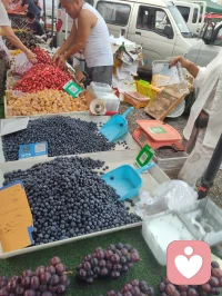 宇凡今日随家姐赶城郊大集，同行还有给力来访者，真切读懂一句话：人间烟火气，最抚凡人心。
姐姐从北京迁居天津三载，常年为子女学业操劳，今日晨跑偶遇这片集市，兴冲冲拉我一同前往。满摊鲜蔬鲜果、山珍调味、原生草药琳琅满目，物价平实，摊主眉眼皆是温和暖意。姐姐走在前兴致满满挑选，我推着小车紧随身后，一瞬间恍惚跌回年少时光，眼前操劳半生的妇人，仍是当年无忧无虑、满眼欢喜的少女。
 
市集藏大道，自古医食同源，鲜蔬、药香、黄蜡调味处处暗含养生医理，一路行走，顺势和身边人闲谈点化，朋友笑称我走一路、点化一路。
归途三人语音闲谈，姐姐坦言这是迁居三年以来最舒心畅快的一日，许多从没见过的时令青菜、原生食材，都让她满心新奇。她偶有感慨，婚后半生奔波琐事，少年时纯粹无忧的欢愉实在难得。
 
市井不是俗尘，是安顿人心的道场。蔬果滋养肉身，烟火抚平焦虑，一蔬一饭里藏着治愈人心的力量，食材草药间暗含天地养生玄妙。
夜色已晚，市集万千景致、藏在烟火里的道与医理，留待明日细细拆解分享。
愿诸位心中常有一处温柔烟火，消解俗世烦忧，今夜安枕好梦。配图