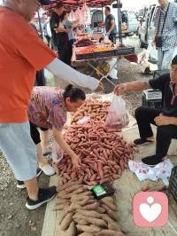 宇凡今日随家姐赶城郊大集，同行还有给力来访者，真切读懂一句话：人间烟火气，最抚凡人心。
姐姐从北京迁居天津三载，常年为子女学业操劳，今日晨跑偶遇这片集市，兴冲冲拉我一同前往。满摊鲜蔬鲜果、山珍调味、原生草药琳琅满目，物价平实，摊主眉眼皆是温和暖意。姐姐走在前兴致满满挑选，我推着小车紧随身后，一瞬间恍惚跌回年少时光，眼前操劳半生的妇人，仍是当年无忧无虑、满眼欢喜的少女。
 
市集藏大道，自古医食同源，鲜蔬、药香、黄蜡调味处处暗含养生医理，一路行走，顺势和身边人闲谈点化，朋友笑称我走一路、点化一路。
归途三人语音闲谈，姐姐坦言这是迁居三年以来最舒心畅快的一日，许多从没见过的时令青菜、原生食材，都让她满心新奇。她偶有感慨，婚后半生奔波琐事，少年时纯粹无忧的欢愉实在难得。
 
市井不是俗尘，是安顿人心的道场。蔬果滋养肉身，烟火抚平焦虑，一蔬一饭里藏着治愈人心的力量，食材草药间暗含天地养生玄妙。
夜色已晚，市集万千景致、藏在烟火里的道与医理，留待明日细细拆解分享。
愿诸位心中常有一处温柔烟火，消解俗世烦忧，今夜安枕好梦。配图