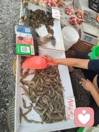 宇凡今日随家姐赶城郊大集，同行还有给力来访者，真切读懂一句话：人间烟火气，最抚凡人心。
姐姐从北京迁居天津三载，常年为子女学业操劳，今日晨跑偶遇这片集市，兴冲冲拉我一同前往。满摊鲜蔬鲜果、山珍调味、原生草药琳琅满目，物价平实，摊主眉眼皆是温和暖意。姐姐走在前兴致满满挑选，我推着小车紧随身后，一瞬间恍惚跌回年少时光，眼前操劳半生的妇人，仍是当年无忧无虑、满眼欢喜的少女。
 
市集藏大道，自古医食同源，鲜蔬、药香、黄蜡调味处处暗含养生医理，一路行走，顺势和身边人闲谈点化，朋友笑称我走一路、点化一路。
归途三人语音闲谈，姐姐坦言这是迁居三年以来最舒心畅快的一日，许多从没见过的时令青菜、原生食材，都让她满心新奇。她偶有感慨，婚后半生奔波琐事，少年时纯粹无忧的欢愉实在难得。
 
市井不是俗尘，是安顿人心的道场。蔬果滋养肉身，烟火抚平焦虑，一蔬一饭里藏着治愈人心的力量，食材草药间暗含天地养生玄妙。
夜色已晚，市集万千景致、藏在烟火里的道与医理，留待明日细细拆解分享。
愿诸位心中常有一处温柔烟火，消解俗世烦忧，今夜安枕好梦。配图