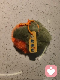 端午安康，万事顺意，心想事成！配图