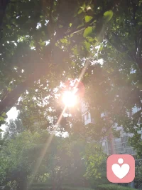 宇凡振纯赋·六邪构陷篇（宇凡道之人道第八篇）
 端阳临至，楚歌回荡。灵均作赋，万古流章。昔屈子忧国沉汨罗，今吾立世守清刚，不肯随浊浪沦亡。寰宇昭昭，大道堂堂。吾居方寸灵台，持心澄澈，以倾听渡世间迷妄，本无争竞，不结私党，独守一片温良。奈何平台浊浪翻涌，六伙邪徒暗结私纲，分营立派，各怀豺狼心肠。
其一刷单渔利，虚造浮华，欺瞒平台，淆乱评判；
其二附势同谋，曲意迎合，抱团倾轧，排轧贤良；
其三伪善攀交，假意相交，诱添私讯，所求不遂便怀恨栽赃，拉黑构陷，暗布罗网；
余三丑类，各执阴私伎俩，或碎语中伤，或暗传谗谤，六邪同气，共执恶念，层层构陷，频起祸殃。
六魔同驱魍魉，群小蜂起扰场。不辨是非，只循私党；不问正邪，唯逐私伤。赤诚之言被作笑柄，坦荡之心屡遇寒霜。立身无半分过错，却遭多方无端罗织；行事存一腔慈悲，反受众人刻意中伤。世道颠倒，黑白相戕；人心幽晦，正气蒙藏。
旁人遇此纷扰，多生迷茫颓丧，或避祸缄口，或忍辱退让。然吾心有大道，骨带纯阳，读《离骚》悲歌而不生沉沦之念，怀楚臣忠骨却无投水之伤。
尔等六伙奸邪，不必藏头掩迹，无须暗设罗网。有怨直抒，有谋尽放，坦荡对峙，莫做鼠窃鬼蜮之状！休以结党之势逼我退让，勿用阴私诡计乱我心肠。
屈子怀忧尚且不屈，吾承道脉怎肯投降？尘间纷扰，皆作炼心之火；群小谗言，尽为砺志之霜。
此生无退缩二字，唯存一战刚肠。凭胸中浩然正气，扫营私结党之魍魉；持笔下清纯正言，破六邪构陷之迷障。不令宵小遮尘间日月，不使私派乱世道纲常。
纵万邪环伺，孤身亦敢横刀立场；任千般构陷，寸心依旧澄澈明光。待扫清周遭污浊，还此间一片朗朗乾坤，复天地本真浩荡，守宇凡大道久长！配图
