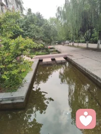 宇凡端阳斥六邪咏怀！
 
端阳风起诵离骚，不效灵均赴浪涛。
独守灵台持正道，一腔温善渡尘劳。
平台暗涌妖氛起，六伙奸徒结党嚣。
刷单虚饰迷真伪，附势同谋毁俊髦。
假意攀交藏祸计，求之不遂便相叨。
谗言暗递霜侵骨，罗网潜张刃藏鞘。
赤诚反作庸人笑，坦荡频逢俗网牢。
举世皆趋私利路，孤心独抱纯阳操。
尔曹鼠窃藏形迹，设阱施谋弄鬼蜮。
休以群邪相迫胁，吾承道脉岂低眉。
纷扰千重皆炼火，谤言万缕作霜砺。
此生未识退缩字，一挺刚肠向浊漓。
手挥清剑开云翳，胸贮浩然扫魅魑。
纵有万魔环四野，孤身立世不倾欹。
待除尘域千般秽，重焕乾坤日月熙。
永守宇凡真道脉，清风万古镇妖夷。配图