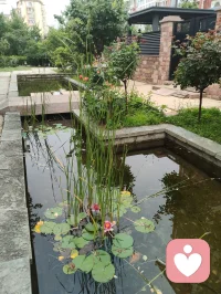 宇凡端阳斥六邪咏怀！
 
端阳风起诵离骚，不效灵均赴浪涛。
独守灵台持正道，一腔温善渡尘劳。
平台暗涌妖氛起，六伙奸徒结党嚣。
刷单虚饰迷真伪，附势同谋毁俊髦。
假意攀交藏祸计，求之不遂便相叨。
谗言暗递霜侵骨，罗网潜张刃藏鞘。
赤诚反作庸人笑，坦荡频逢俗网牢。
举世皆趋私利路，孤心独抱纯阳操。
尔曹鼠窃藏形迹，设阱施谋弄鬼蜮。
休以群邪相迫胁，吾承道脉岂低眉。
纷扰千重皆炼火，谤言万缕作霜砺。
此生未识退缩字，一挺刚肠向浊漓。
手挥清剑开云翳，胸贮浩然扫魅魑。
纵有万魔环四野，孤身立世不倾欹。
待除尘域千般秽，重焕乾坤日月熙。
永守宇凡真道脉，清风万古镇妖夷。配图