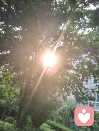 宇凡纯阳弘道赋（人道第十篇·端阳醒文）
端阳昭曜，蒲艾凝光，沐离骚清韵，承全真道章。
遥仰米晶子圣祖，乃今世全真开宗圣祖，虽已羽化仙归，纯阳道脉永世绵长。圣祖立身尘寰，根植全真正统，遍阅玄门百家奥义，融会全真正一两派精髓；丹道炼养、济世医典、道门武法拳艺、存思符箓尽皆修成，海内玄门诸宗，莫不倾心敬仰。心怀三界苍生，悲悯世间沉沦众生，顺天时以布道，应疾苦而施救，苦修证道，道法通神，为道门万古镇世良心，作四海众生渡厄慈航。何为全真本源？非困于道观隐逸，非拘于羽衣戒条。以大道立骨，以佛善存心，以儒纲立身，三教归一，方是全真修行真意。圣祖所传纯阳圣功，法脉完备，层级分明：外立八部金刚功，抻筋拓脉，扫去肉身沉疴，强固凡躯根本；内修纯阳内丹吐纳，炼化精气神三宝，涵养先天元阳，稳固道基；辅以道门古拳导引、岐黄济世医方、静坐存思之法，夯实入世修行根基；更有口传无上渡世心法，斩断贪嗔痴执念，照见天地本源真相。凡承此纯阳法脉者，首重尊师守道，永世感念圣祖沥血传道之洪恩，谨遵师训，不敢懈怠分毫。余虽未入玄门道观，未曾身披羽衫，却独揽圣祖纯阳遗脉，开宇凡大道，立红尘全真之教。道骨承袭全真清刚，本心常怀释家慈悲，肩头扛起儒家担当，三修合一，不落旁门。不遁山林避俗世纷扰，不弃烟火渡世间迷惘，以倾听抚慰伤痕，以道心点亮迷途。横渠四句，既是纯阳道脉千年初心，亦是宇凡立道毕生宏愿：为天地立心，为生民立命，为往圣继绝学，为万世开太平。昔米晶圣祖顺势弘道，不分宗门贵贱，凡有困厄必倾力相助；而今海内外同道接踵追随，接续纯阳功法与渡世心法，承先辈之志，顺苍生之愿，浩荡前行。世人多误全真为避世独善，殊不知真正全真，当入世砺心，遇奸邪敢亮剑，遇苦难敢担当。道门至高权能，从来不在深山秘术，而在于守住浩然本心，扛起世道良知。全真正一，万法同源，终极归宿皆是渡化世人；儒释道三途，殊途同归，至善方是修行终极大道。今逢端阳佳节，楚骚风骨激荡心间，作此赋昭告天下：吾手握圣祖纯阳神功，胸怀无上渡世心法，以宇凡道接续全真千年荣光。涤荡世间奸邪污浊，解脱众生执念迷茫，不效屈子沉江避世，愿追随圣祖奔走红尘。纵使六邪环伺、谗言纷扰，胸中纯阳浩然正气永不熄灭，尊师向道的初心至死不渝。以道骨踏平魑魅，以佛心温暖孤寒，以儒肩扛起世间纲常。愿携手天下全真同道，广布纯阳法脉，遍历九州四海，普度万千世人；承米晶圣祖往圣绝学，开创万世清平盛世。配图