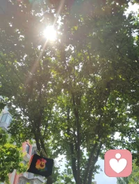 宇凡承全真逍遥风骨，携七彩向阳繁花，似登时尚盛筵，沐暖阳柔光入世。抛却清修孤冷，以烂漫笑意渡人，自在诙谐，予世间满心欢喜。配图