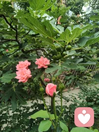 人生路漫漫，艳泽高照，给力同行！配图