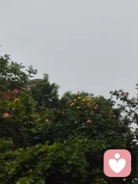 人生路漫漫，艳泽高照，给力同行！配图