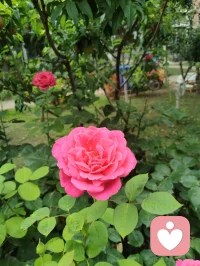 股市翻涌的K线，不过是资本编织的欲望棋局。
无论是A股的多空拉锯，还是华尔街的资本杀伐，这场博弈本质上只是人性的拉扯。冰冷的量化机器不带七情六欲，普通凡人终究很难在这场博弈中取胜，无数人困在涨跌之间，被贪嗔痴消耗心神，迷失在暴富幻梦里。财富从来不止涨跌盘中，向外追逐资本捷径，不如向内安顿本心。放下盘面执念，深耕自身独有的价值，寻常人间烟火，才是安稳长久的归途。配图