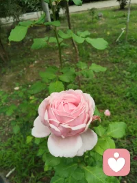 股市涨跌从来不是发财捷径，从头到尾只是一场人性博弈。
量化无情、机构设局，不管A股还是华尔街，普通人终究很难赢下资本棋局。别被暴富幻象消耗心神，与其在K线里患得患失，不如静下心修炼自身，安稳度日，人间烟火才是最好的归宿。配图