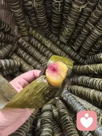端午裹一叶清粽，花开满院晚风柔。
人间烟火最能疗愈人心，我们总向外追逐情绪寄托，却常常忽略眼前细碎安稳。
粽叶裹住清甜，繁花抚平浮躁，所谓内心丰盈，从来不是寻觅盛大欢喜，而是接纳日常里这份简单温柔。
不必强求完美圆满，一餐一景皆是自愈良药，愿诸君端午安康，与自己温柔和解，心中常存草木清欢。配图