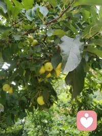 你我皆凡人，生在人世间，终日奔波苦，一刻不得闲。
人海浮沉，人人身负疲惫与心结，幸而在给力平台相逢便是难得善缘。心理学讲人与人的相逢是情绪互补的救赎，我承接你的烦忧，你予我一份信任，双向温暖，互相疗愈。
愿岁岁常安，菩萨护佑每一位负重前行之人，心有清宁，万事顺遂。配图