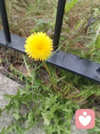 你我皆凡人，生在人世间，终日奔波苦，一刻不得闲。
人海浮沉，人人身负疲惫与心结，幸而在给力平台相逢便是难得善缘。心理学讲人与人的相逢是情绪互补的救赎，我承接你的烦忧，你予我一份信任，双向温暖，互相疗愈。
愿岁岁常安，菩萨护佑每一位负重前行之人，心有清宁，万事顺遂。配图