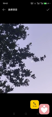 独与天地，精神往来；抱朴守心，不复多言。
人至中年，才读懂庄子此句真意。心理学里，所有焦虑内耗，皆源于执念盈心、向外不停索取。
多识草木少识人，清风苔花皆是自愈良方。心似竹空，方能容纳万象；看淡是非输赢、贪求得失，放空自我，方能从容自洽。
天地不言，万物顺时生长，不必强求事事圆满，人生本该留白。有风便听风，落雨便观雨，不急、不贪、不怨，缄言守朴，安定本心。
相思无处诉时，便见花如面，草木代为捎去温柔。隔绝俗世纷扰，静守一身清净，天地长存，我自安然。配图
