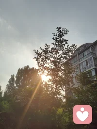 《澄元开道·破妄渡世七律》
情爱缠缚皆虚相，众生迷己困尘疆。
贪求眷念生愁扰，执念相思起躁狂。
独与天光通自性，静随草木洗愁肠。
不攀俗世温柔缘，不慕云端仙阙堂。
放下万般儿女恨，修成一片大悲肠。
心空自纳山河境，性淡能消爱恨霜。
身寄浮尘无滞碍，神交天地自昭彰。
愿渡世间迷惘客，同归清净本真乡。
 
世间万千情爱纠葛，根源皆是执念迷心，误把短暂情缘当作终身归宿，在得失爱恨里反复内耗、心神困顿。红尘情爱本是水中月影，看似真切，实则虚妄，执着索取相伴与偏爱，只会困住本心。修行从不是避世成仙，而是独与天地精神往来，于草木清风间疗愈伤痕。放下儿女情长的贪求，不攀俗世姻缘，不慕仙界逍遥，守空净本心，容纳山河万象。怀悲悯渡众生，指引困于情伤之人勘破虚妄，放下痴缠，寻回内在本真，从容自守，得一世清宁通透。配图