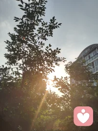 《澄元开道·破妄渡世七律》
情爱缠缚皆虚相，众生迷己困尘疆。
贪求眷念生愁扰，执念相思起躁狂。
独与天光通自性，静随草木洗愁肠。
不攀俗世温柔缘，不慕云端仙阙堂。
放下万般儿女恨，修成一片大悲肠。
心空自纳山河境，性淡能消爱恨霜。
身寄浮尘无滞碍，神交天地自昭彰。
愿渡世间迷惘客，同归清净本真乡。
 
世间万千情爱纠葛，根源皆是执念迷心，误把短暂情缘当作终身归宿，在得失爱恨里反复内耗、心神困顿。红尘情爱本是水中月影，看似真切，实则虚妄，执着索取相伴与偏爱，只会困住本心。修行从不是避世成仙，而是独与天地精神往来，于草木清风间疗愈伤痕。放下儿女情长的贪求，不攀俗世姻缘，不慕仙界逍遥，守空净本心，容纳山河万象。怀悲悯渡众生，指引困于情伤之人勘破虚妄，放下痴缠，寻回内在本真，从容自守，得一世清宁通透。配图