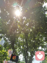 《澄元开道·破妄渡世七律》
情爱缠缚皆虚相，众生迷己困尘疆。
贪求眷念生愁扰，执念相思起躁狂。
独与天光通自性，静随草木洗愁肠。
不攀俗世温柔缘，不慕云端仙阙堂。
放下万般儿女恨，修成一片大悲肠。
心空自纳山河境，性淡能消爱恨霜。
身寄浮尘无滞碍，神交天地自昭彰。
愿渡世间迷惘客，同归清净本真乡。
 
世间万千情爱纠葛，根源皆是执念迷心，误把短暂情缘当作终身归宿，在得失爱恨里反复内耗、心神困顿。红尘情爱本是水中月影，看似真切，实则虚妄，执着索取相伴与偏爱，只会困住本心。修行从不是避世成仙，而是独与天地精神往来，于草木清风间疗愈伤痕。放下儿女情长的贪求，不攀俗世姻缘，不慕仙界逍遥，守空净本心，容纳山河万象。怀悲悯渡众生，指引困于情伤之人勘破虚妄，放下痴缠，寻回内在本真，从容自守，得一世清宁通透。配图