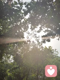 瑜伽静心练功心诀！
 
瑜伽之要，不在形姿，贵在身心合一。向内静守，收摄杂念、安定心神，让呼吸沉定、灵台清明；向外舒展，打开筋骨、释放淤滞，柔形体、畅气血、舒情志。不躁不执，不急不贪，于静定中拉伸，于柔和中疗愈。身松心净，内外同调，方是瑜伽修行之本真。配图