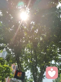 太极练功心诀！
 
太极之道，本于阴阳，以静养心，以动修身。向内沉神守气，摒除浮躁妄念，凝心定息，丹田固本，稳住一身中正本源；向外松沉舒展，圆活连贯，虚实相生，柔化周身僵滞。不疾不徐，不刚不猛，动静相依，内外合一。以形导气，以气驭神，顺天地自然之律，修身心通透之境。配图