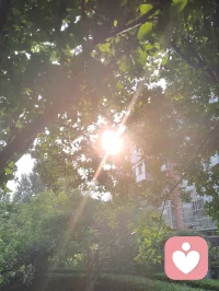 中华无极功练功心诀！
 
无极归道，以空为本，动静同源，性命双修。向内静守虚无，收摄杂念，息心忘虑，气沉丹田，不染凡尘妄执；向外舒展周身，松圆开合，舒展筋络，顺循天地阴阳。不刻意、不紧绷，动中存静，静里藏机，形气神三者合一，渐达物我两忘，身心同融太虚之境。配图