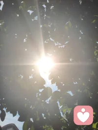 纯阳功练功心诀！
 
全真纯阳，性命同修，以正阳化一身阴浊。向内静守灵台，敛息收念，气归丹田，涤除情爱执念、心神内耗；向外舒展百骸，循金刚导引疏通经络，动作柔和绵长。动以调形，静以养神，勿忘勿助，不贪不急，久练元阳充盈，心身澄澈，独与天地精神相融。配图